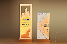 PA真人视讯国际一举斩获“2024年度中国区最佳雇主”等多项大奖