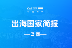 PA真人视讯GO GLOBAL | 巴西国家简报